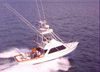 The Monomoy