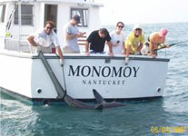 Monomoy Charters - Nantucket - Catching a shark