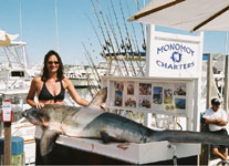Monomoy Charters - Nantucket - Shark on the dock