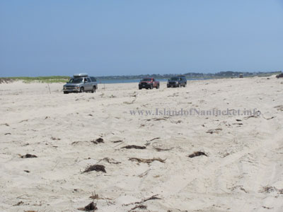 Nantucket Madaket Beach