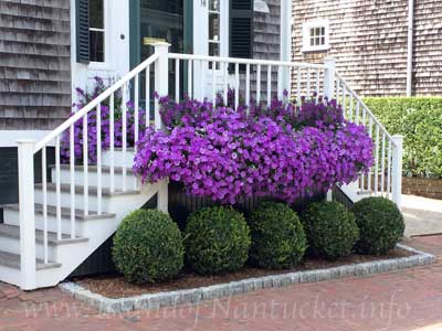 Nantucket Music Festival 2014